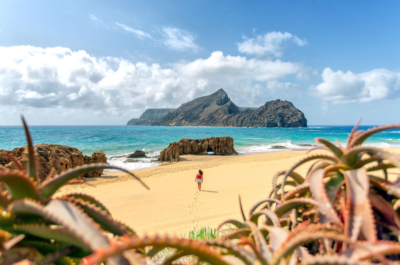 Ponta da Calheta1©Carlos Gouvia