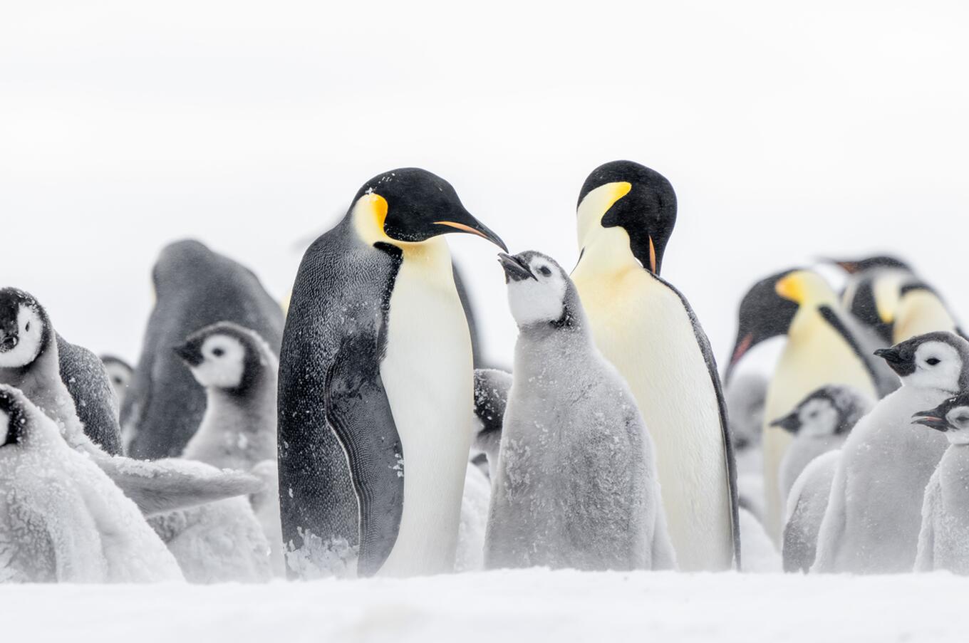 expediciones-aventura-desarrollo-personal-autosuperacion