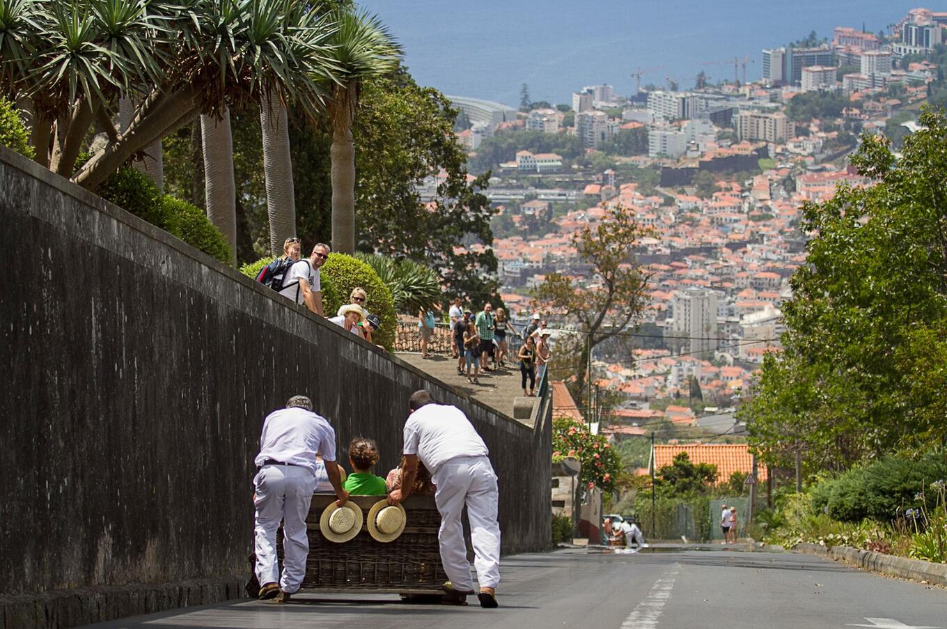 Carreiros do monte. Foto: Miguel Moniz.