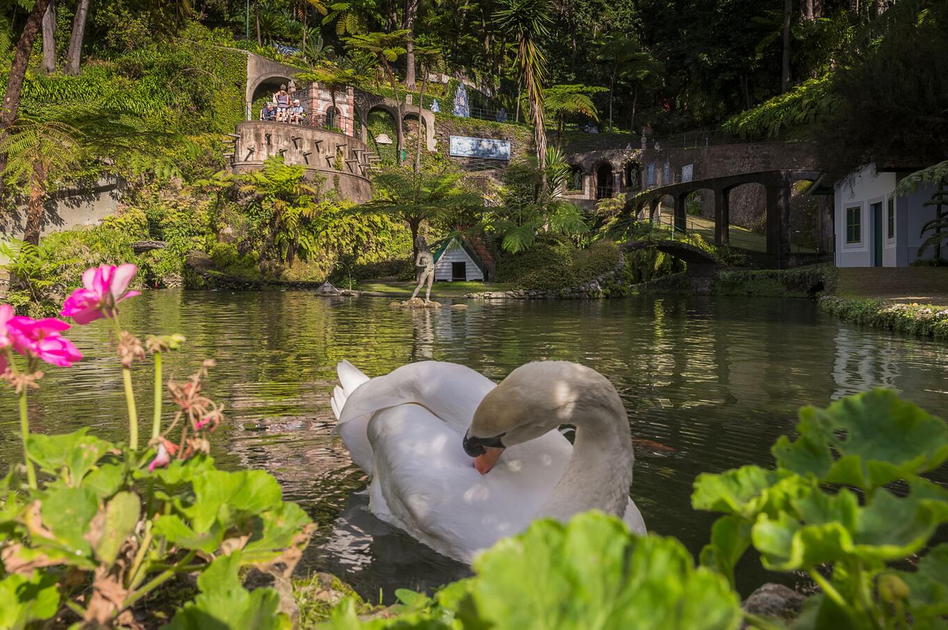 Jardín tropical de Monte Palace, en Funchal. Foto: Francisco Correia.