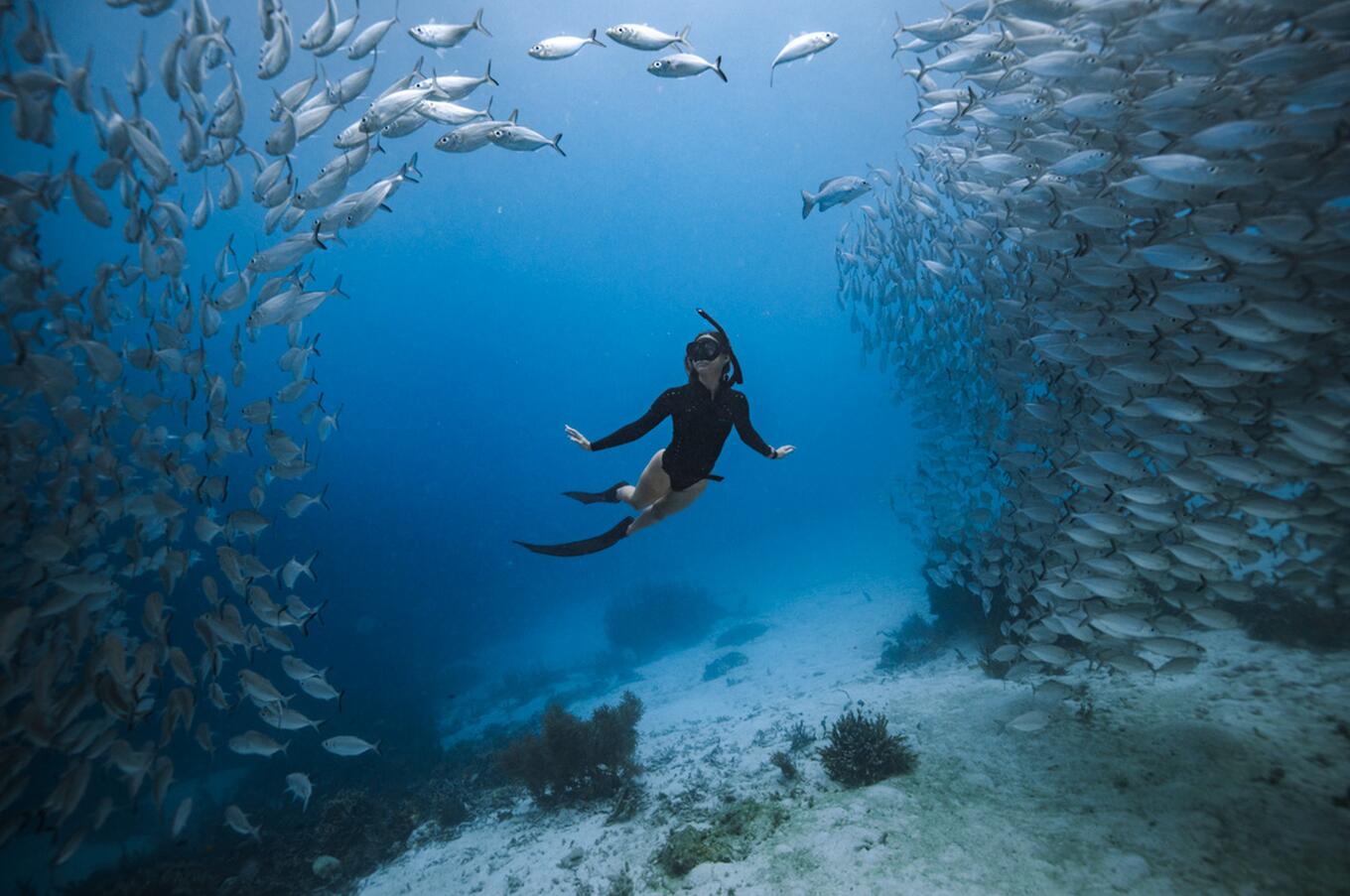 raja-ampat-indonesia-papua-buceo