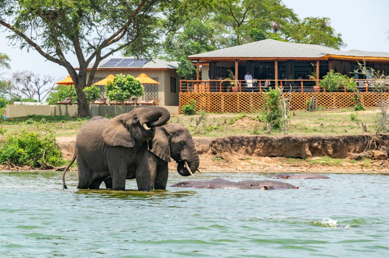 The River Station, Uganda