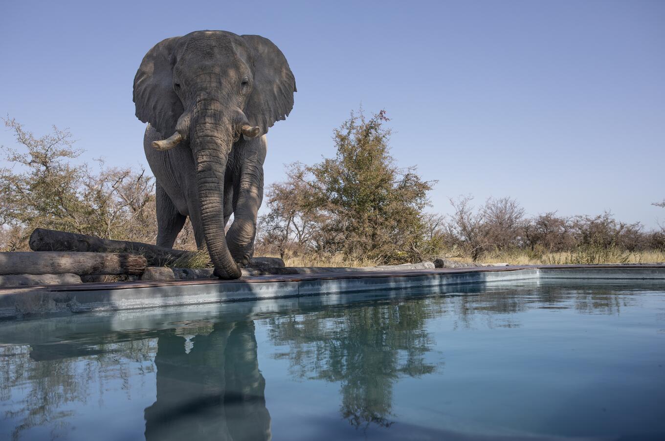 Makgadikgadi 