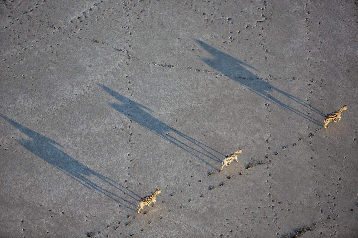 Makgadikgadi 