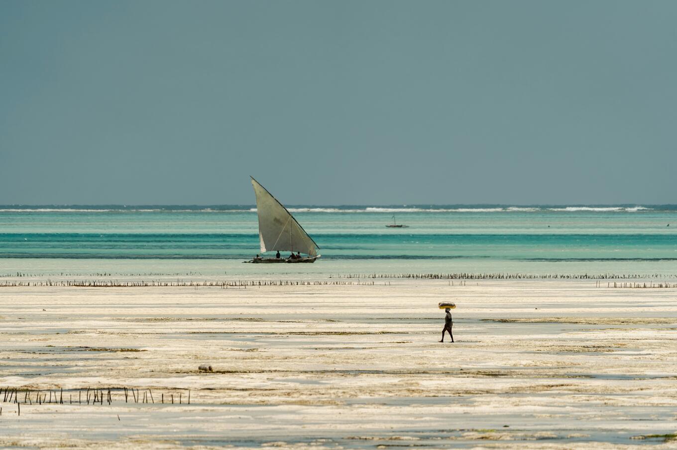 Foto Aron Marinelli