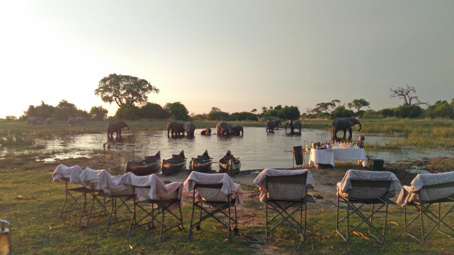 viaje lujo safari Botsuana África