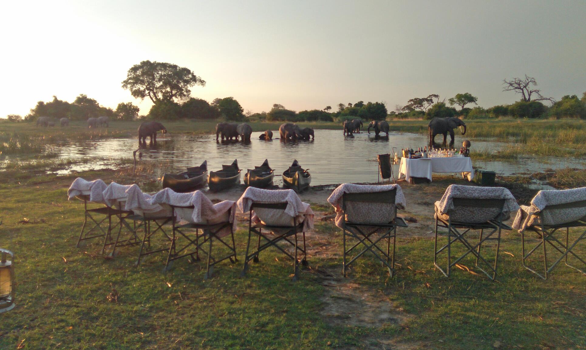 viaje lujo safari Botsuana África