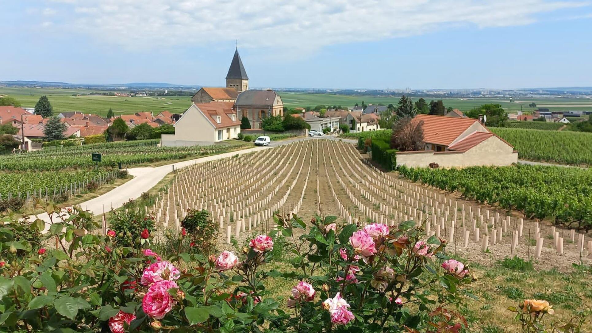 la champagne