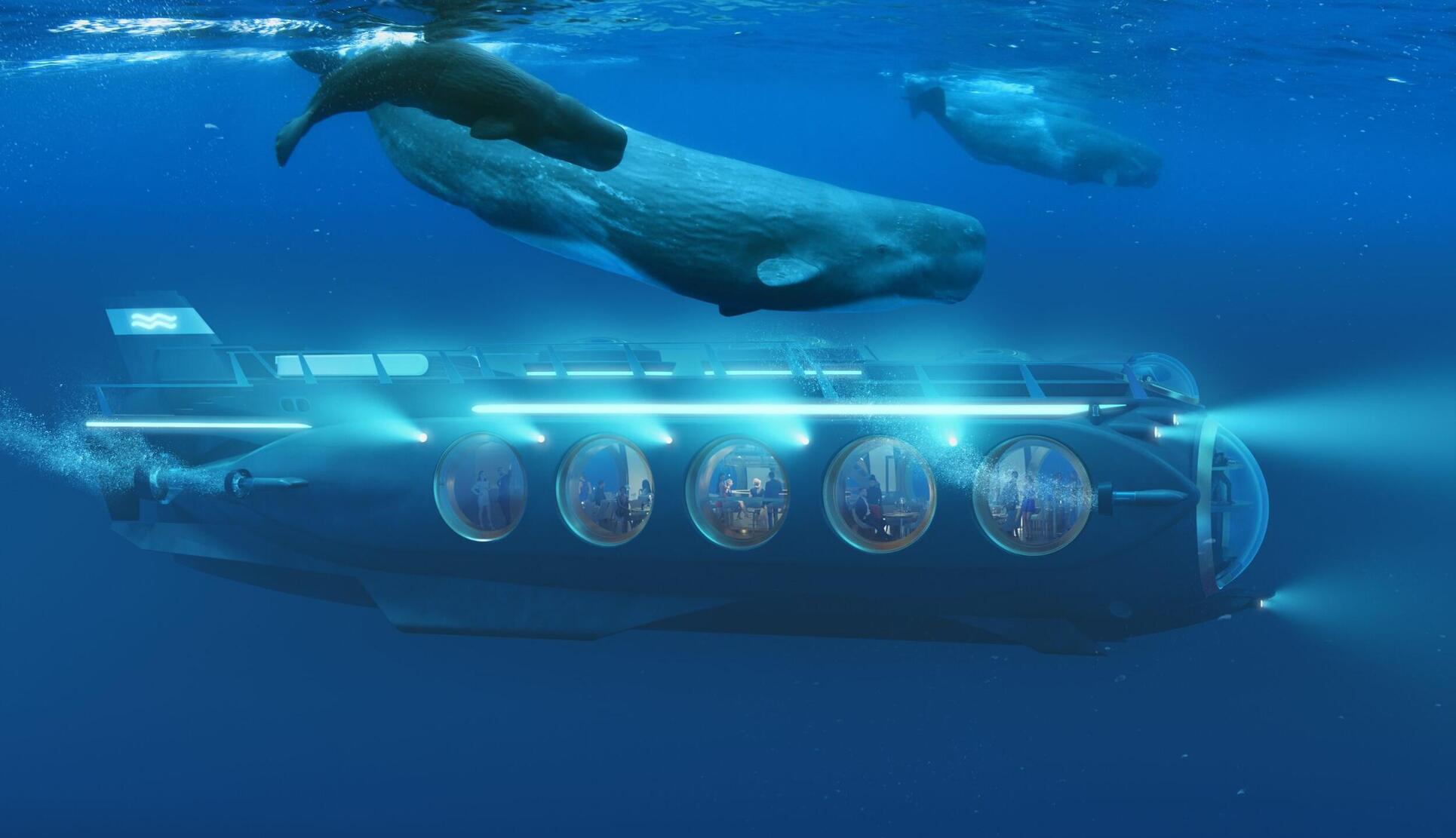 safari submarino con ballenas