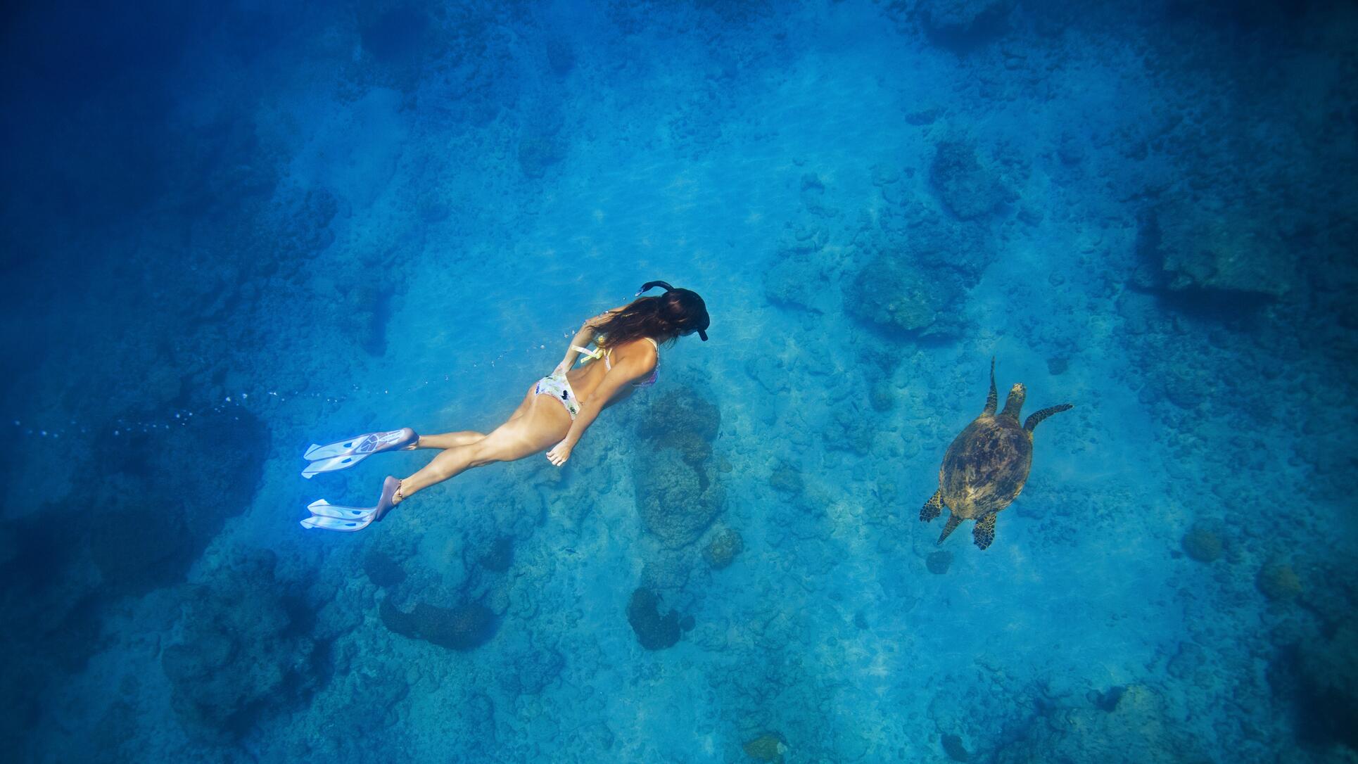 La universidad de la vida, de la pura vida, Costa Rica