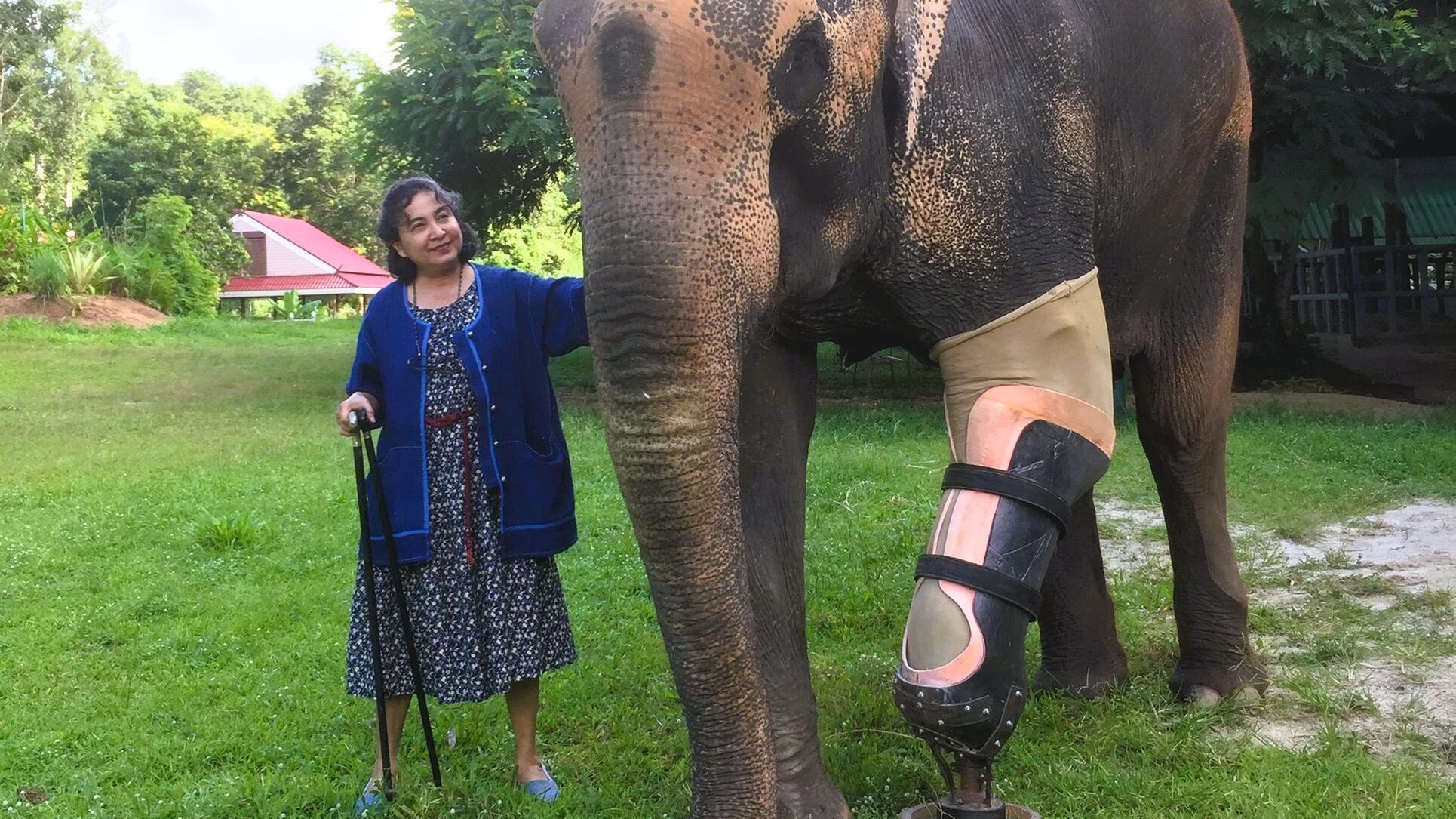 Soraida Salwala hospital elefantes tailandia