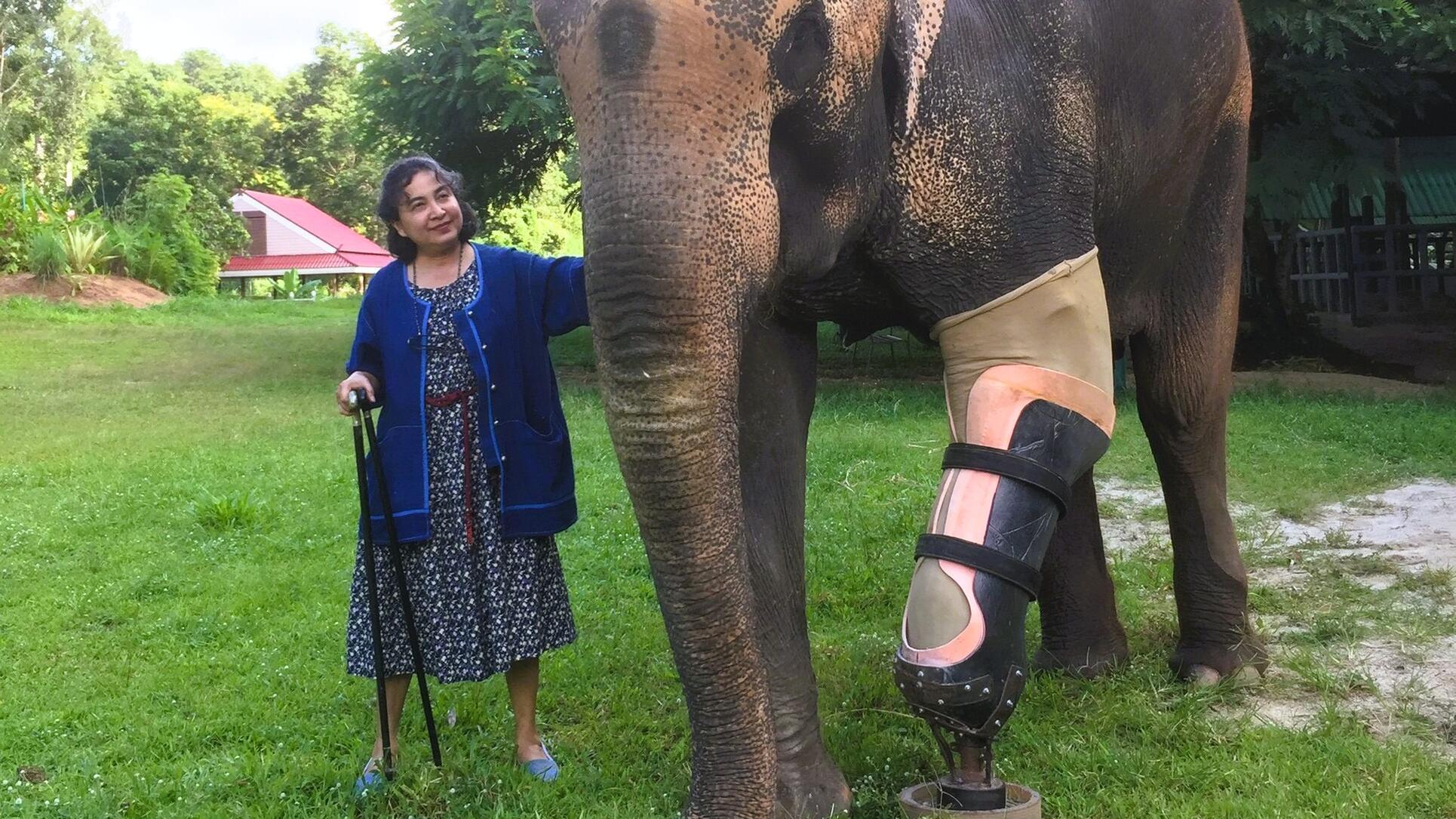 Soraida Salwala hospital elefantes tailandia
