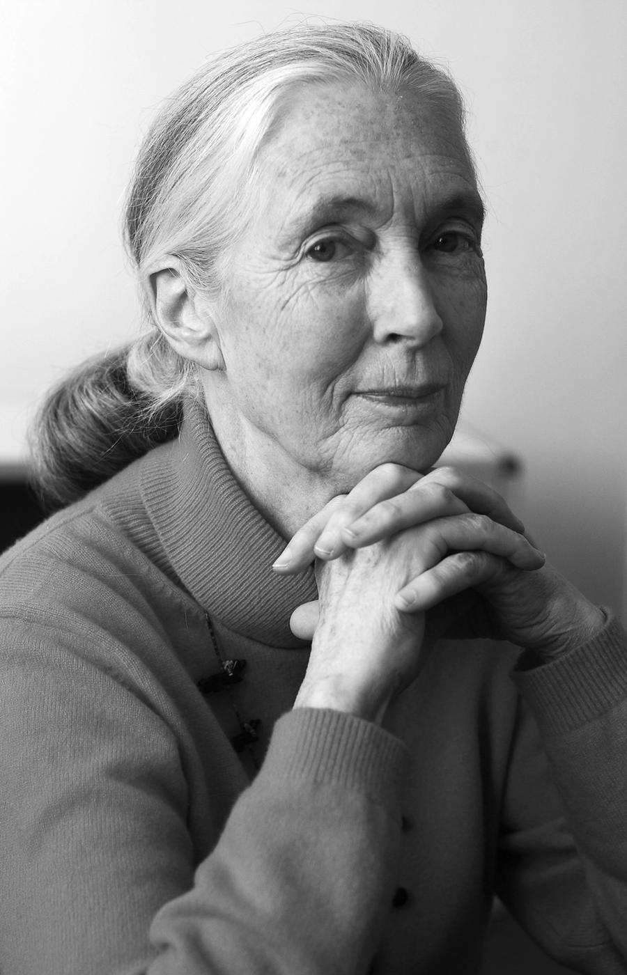 Jane Goodall chimpancés África