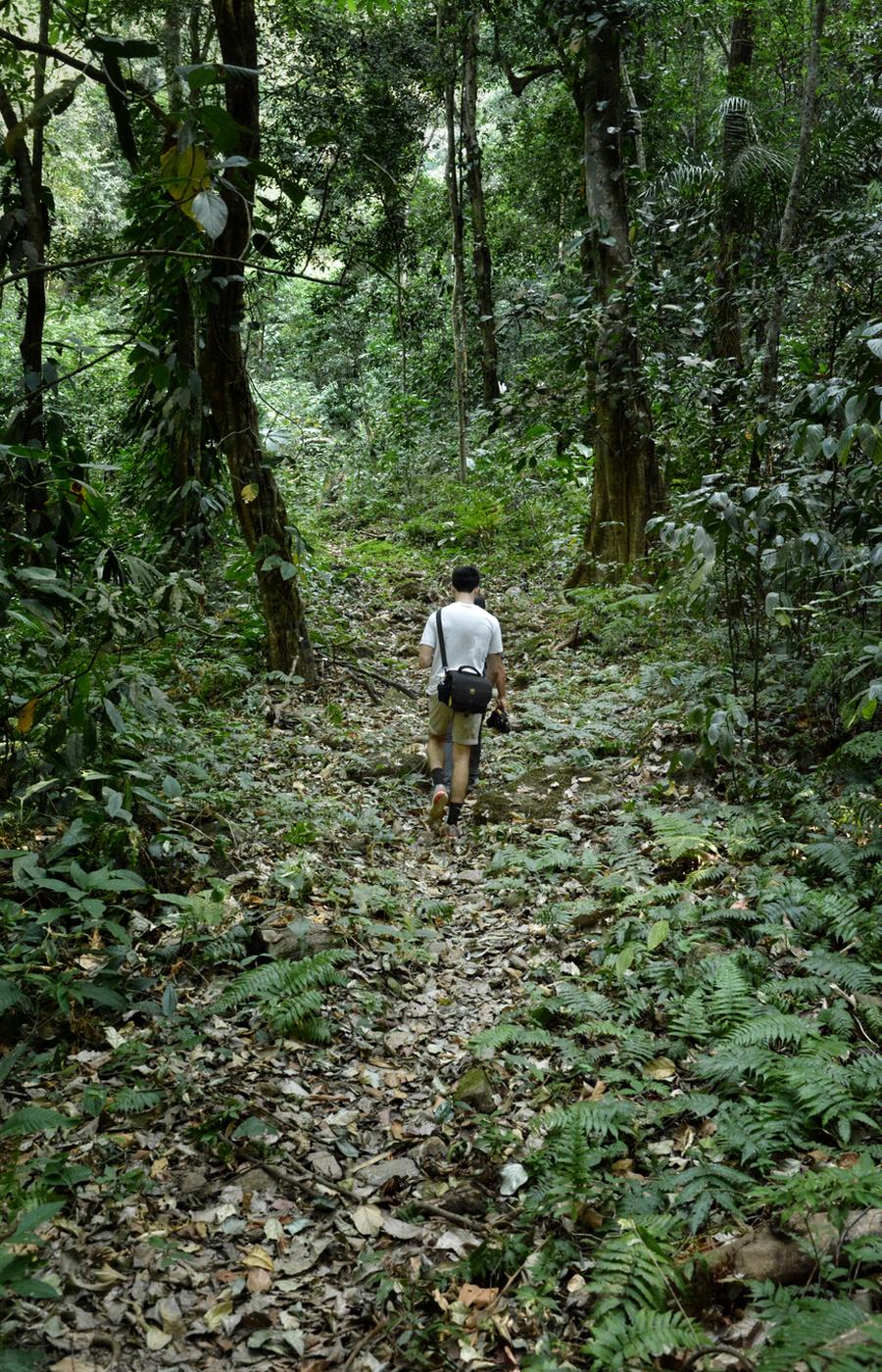 viaje remoto colombia etnias el camino del kogui 