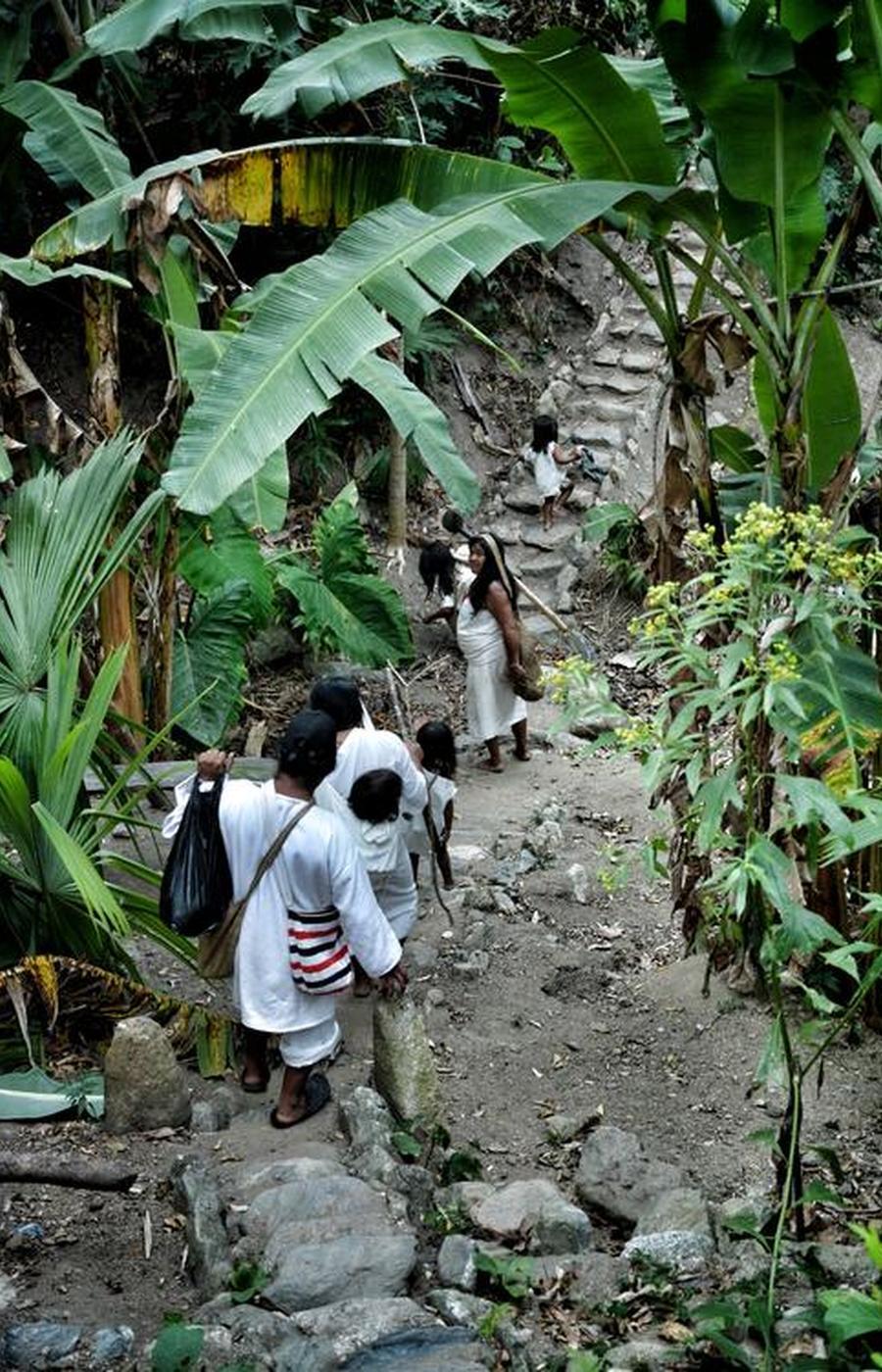 Los caminos y escaleras de piedra llevan a la denominada "Ciudad Antigua" ruta indios kogui colombia