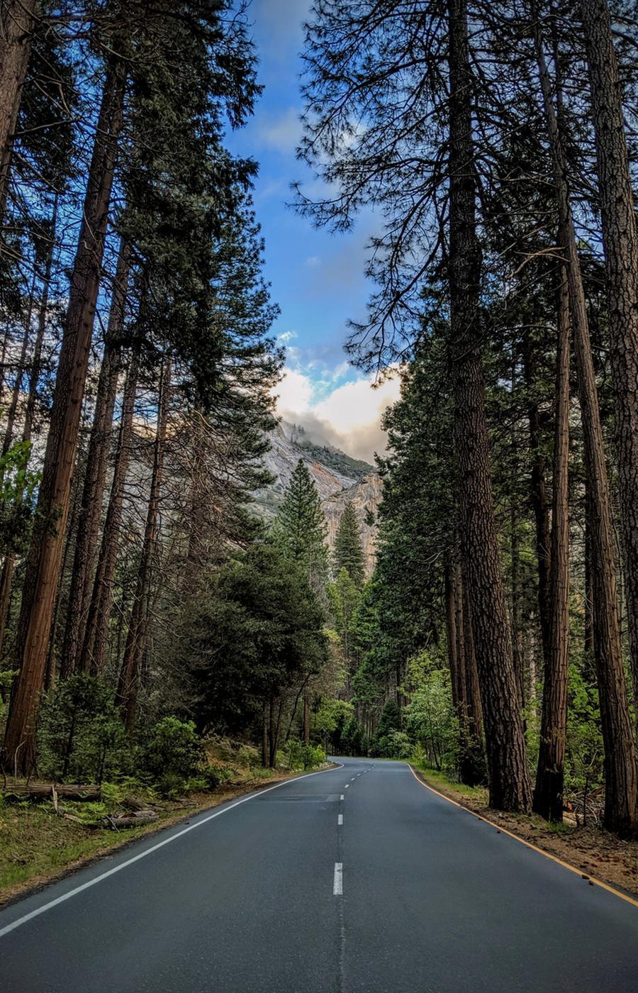 yosemite parque nacional estados unidos