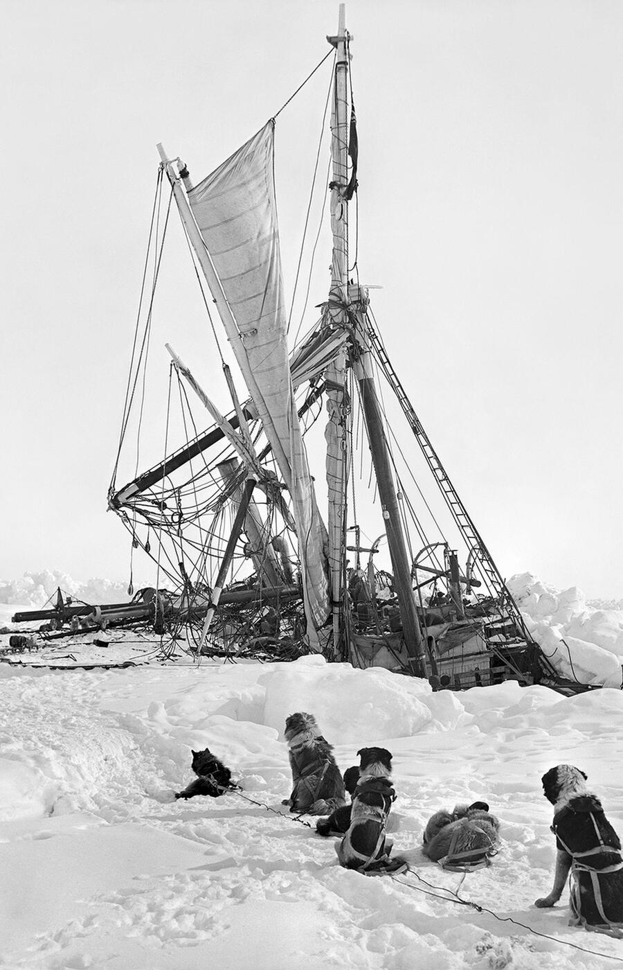 endurance ernest shackleton antártida