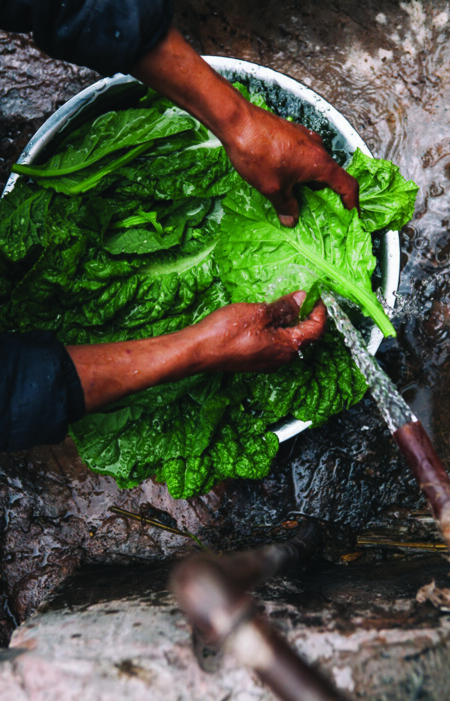 En una aldea de Yunnan, el ritual empieza con agua fría y hojas frescas. Cocina china, en su forma más pura. Yunan